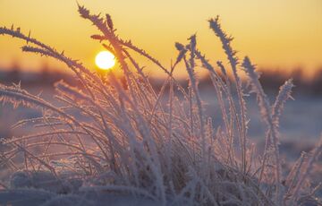 Погода в Україні: в які регіони повернеться похолодання
