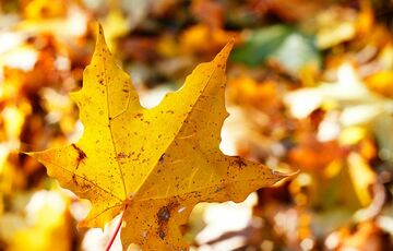 В Украину ворвется 30-градусное тепло