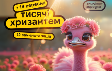 Знаки Зодиака из десятков тысяч хризантем: в ”Семейном экопарке ”Ясногородка” стартует выставка цветов