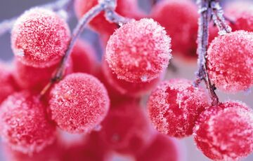 В Україні різко похолодало: де синоптики обіцяють найсильніші морози