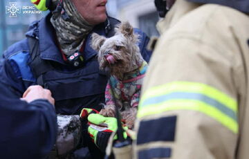 В Днепре из-под завалов жилого дома спасли крошечную собачку: кадры