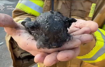 У Харкові з-під завалів на місці удару дістали крихітного кошеня: відео