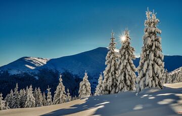 Сколько будет стоить зимний отдых в Буковеле