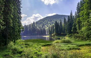 На Закарпатті депутат опублікувала карту області у кольорах прапора Угорщини