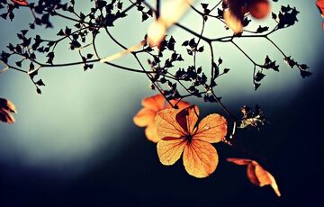 Спекотна неділя: прогноз погоди в Україні