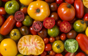 В Україні зростають ціни на помідори