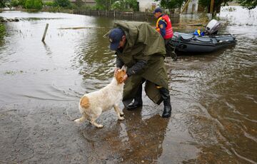 В Херсонской области обнаружили холерную и кишечную палочки в воде