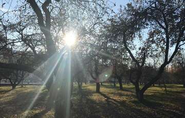 Солнечно и холодно: какой будет погода в Украине сегодня