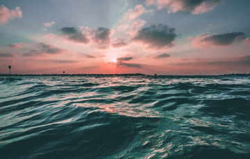 В Днепре некоторые показатели загрязнения воды превышают норму в 28 тысяч раз, а в море кишечная палочка