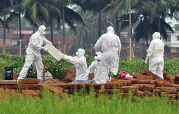 В Индии зафиксировали вспышку смертоносного вируса