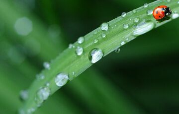 Синоптик предупредила украинцев о резком изменении погоды