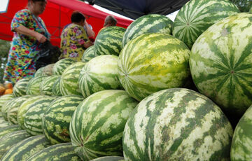 В Украине дорожают арбузы