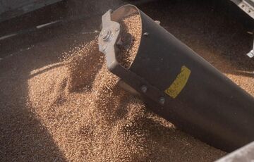 В Минагрополитики рассказали о последствиях запрета на импорт украинского зерна 