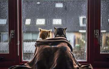 Останній день тепла: прогноз погоди в Україні