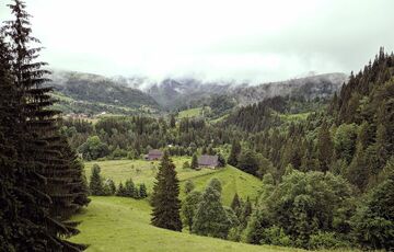 В Карпатах зафиксировали подземный толчок, жертв и пострадавших нет - ГСЧС 