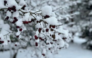 Российский мэр призвал жителей меньше грешить, а то коммунальщики не справятся со снегом Российский мэр призвал жителей меньше грешить, а то коммунальщики не справятся со снегом