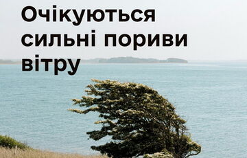 В Украину придут грозы со штормовым ветром