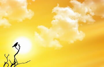 Завтра Україна буде найспекотнішою країною в Європі