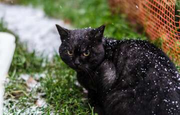 Похолодання в Україні: чи варто чекати першого снігу