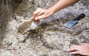 ”Черный археолог” нашел клад III века в Украине и незаконно продал его на аукционе