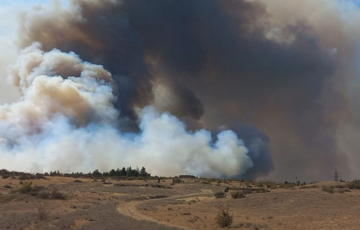 На околицях Тбілісі палає потужна пожежа На околицях Тбілісі палає потужна пожежа