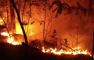 Францію охопили потужні лісові пожежі