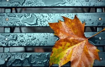 В Украину идет похолодание с дождями