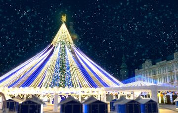 Якою буде головна ялинка країни: фото