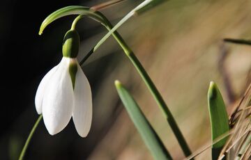Прогноз погоди: коли чекати новий виток потепління