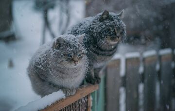 Морози посилюються: прогноз погоди в Україні