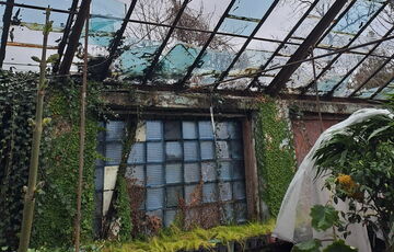 Из-за ракетного удара в Одессе серьезно пострадал Ботанический сад: фото