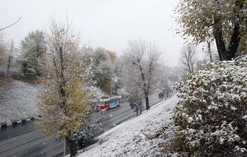 Синоптик прогнозирует аномально теплую погоду в Украине на Новый год 