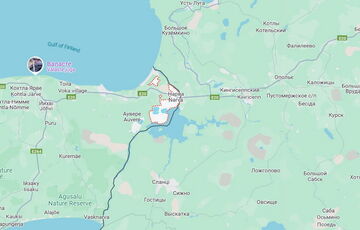 Россия может вторгнуться в Эстонию для “защиты русской диаспоры”, - Politico