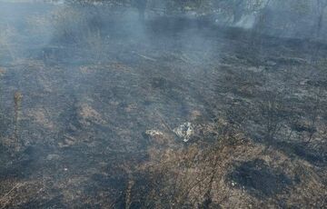 Росіяни вбили трьох жінок у Черкаському