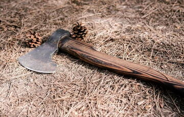 Вернувшийся с войны россиянин зарубил топором ”Лучшего учителя РФ”