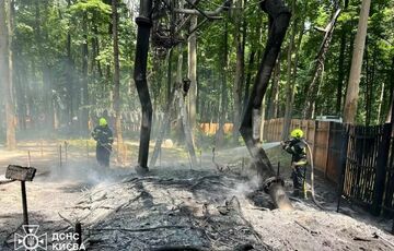 У Києві загорівся парк динозаврів У Києві загорівся парк динозаврів