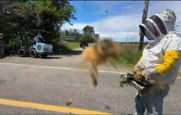 В США перевернулась фура с 250 миллионами пчел