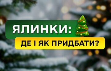 Штрафы за незаконную вырубку елок перед новогодними праздниками выросли в три раза