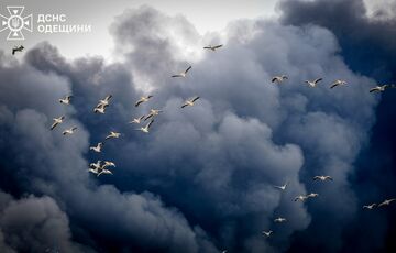 Россия за неделю обстреляла Украину более 380 раз