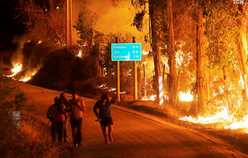 Чилі охопили потужні лісові пожежі