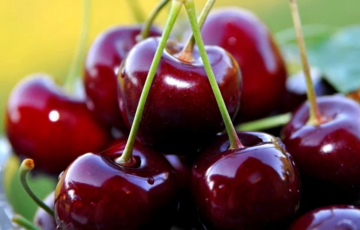 Фермеры Мелитополя подсунули оккупантам отравленную черешню