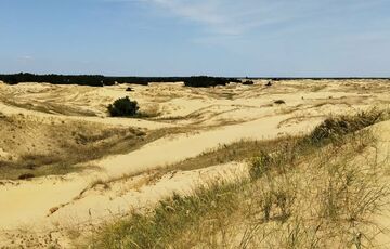 ”Не с кем связаться, людей нет”: Ряд сел оккупированного левого берега Херсонской области опустел