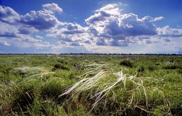 Синоптик розповіла, якою буде погода в Україні до кінця цього тижня