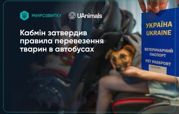 В Украине утвердили единые правила перевозки животных в автобусах