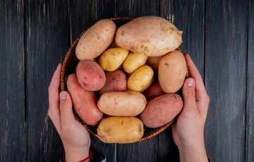 В Україні перед Новим роком почала дешевшати картопля В Україні перед Новим роком почала дешевшати картопля