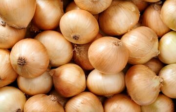 В Украине стремительно дешевеет лук