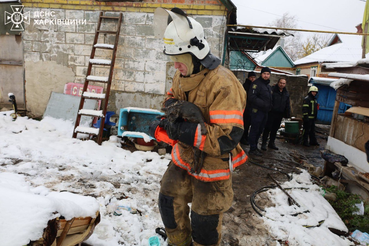 Четверо детей погибли при пожаре под Харьковом: фото, видео — фото 5