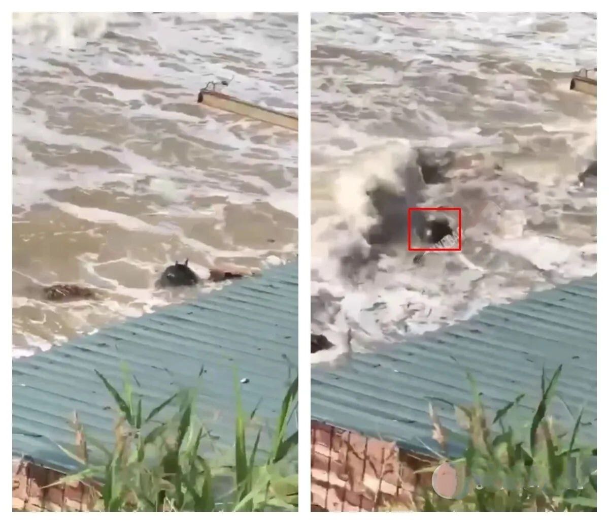 На Одещині пролунало кілька вибухів: продовжують детонувати міни (фото) — фото 1