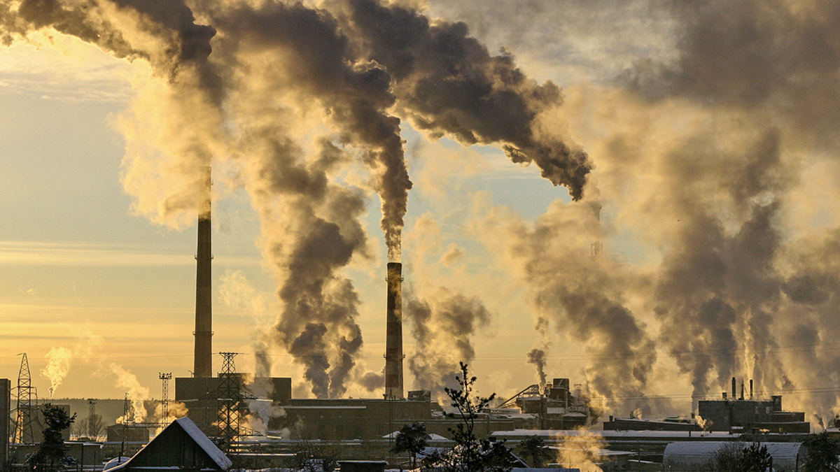 20 основных текущих экологических проблем: экологические вызовы современного мира — фото