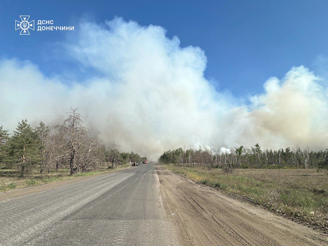 Рятувальникам вдалося загасити масштабну пожежу у лісі під Лиманом після російського обстрілу — фото